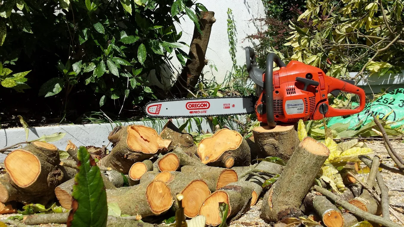 Tree surgery equipment and logs