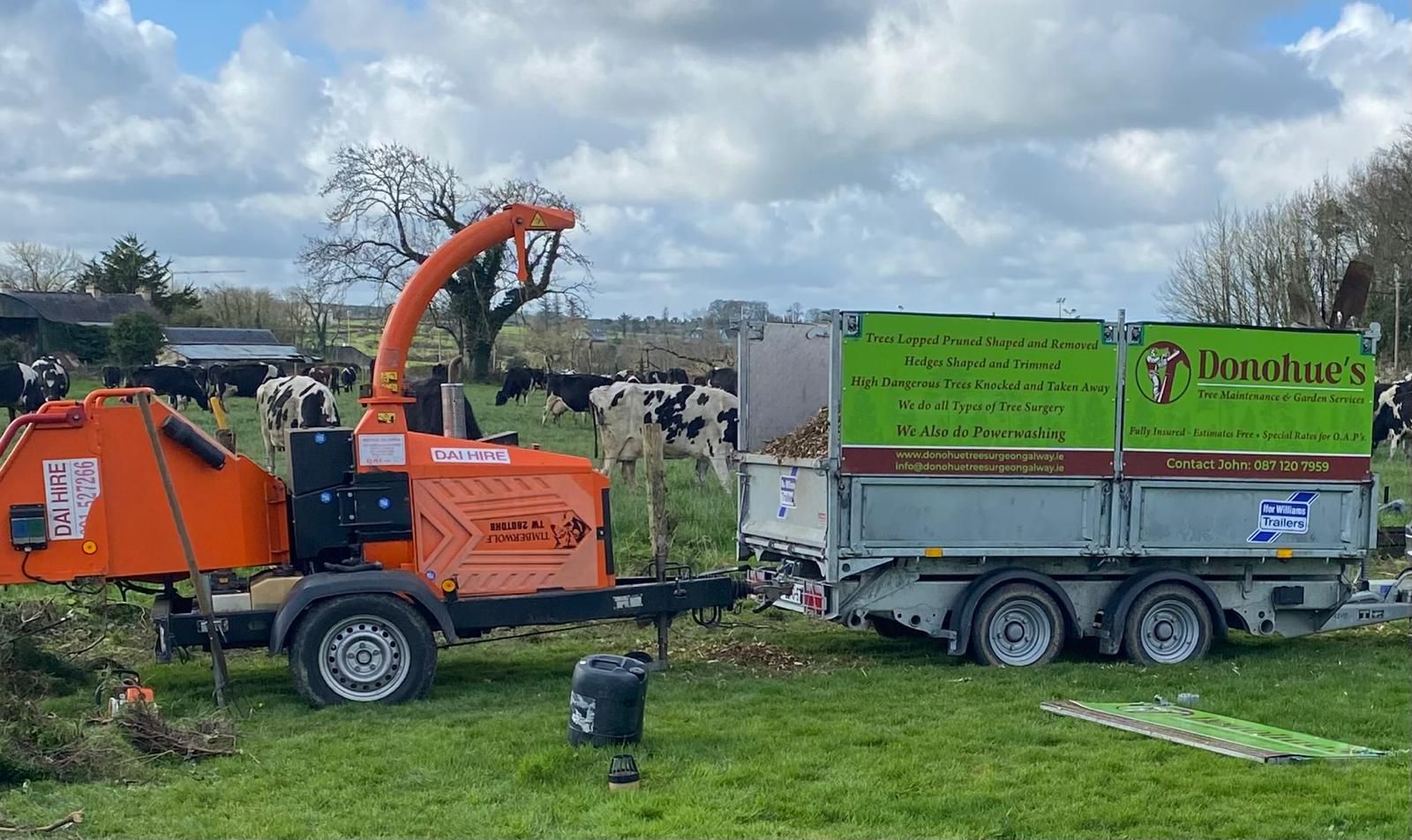 Garden maintenance and tree care