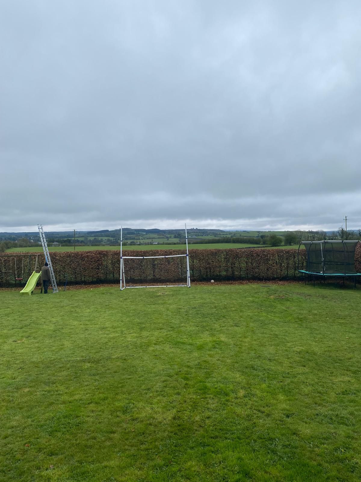 Quality tree surgery work in Galway